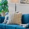 Couch with pillows near side table with plant