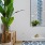 Living room with great views out the window with indoor plants