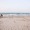 a beach front with people walking