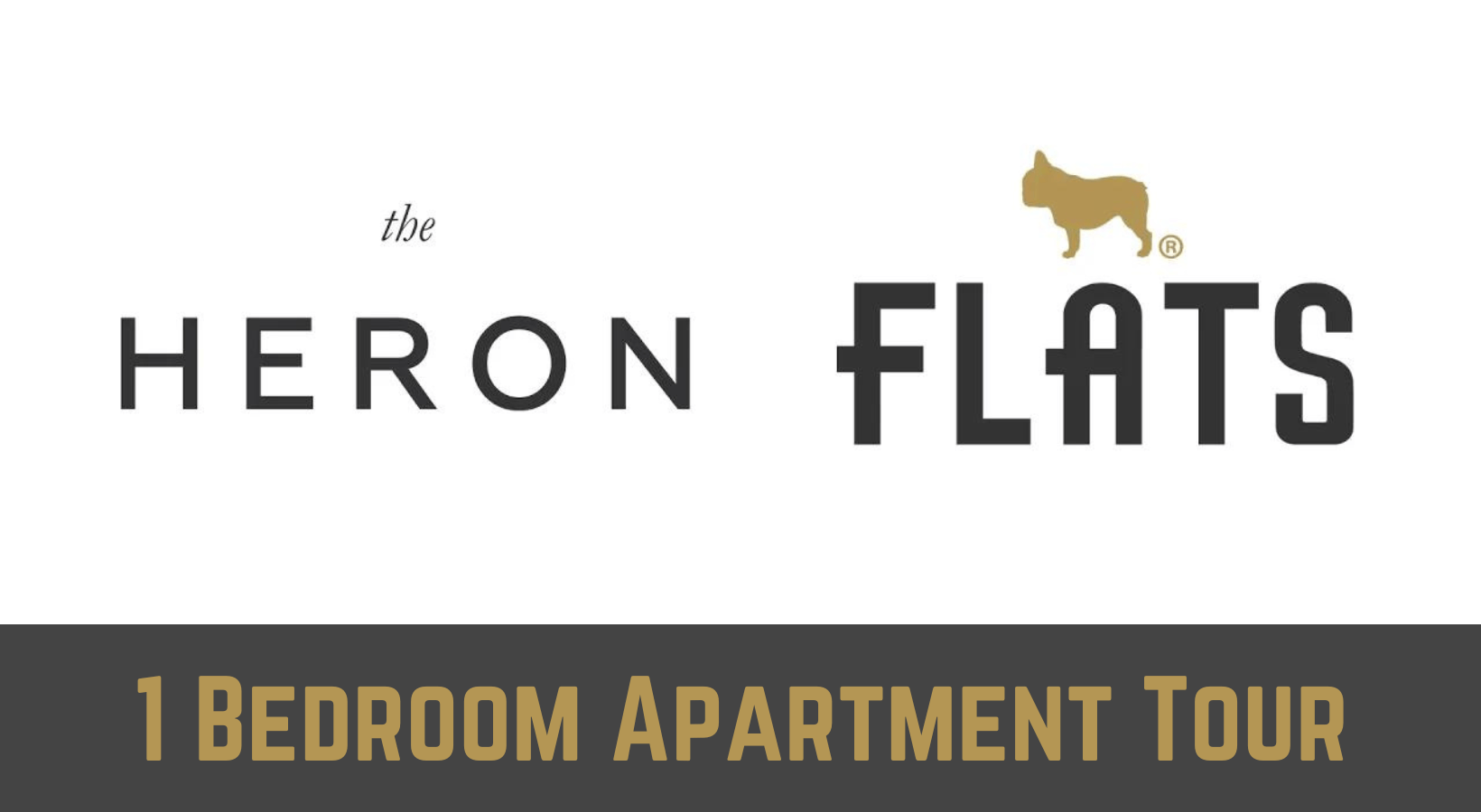 1 Bedroom Apartment in Edgewater Chicago - The Heron