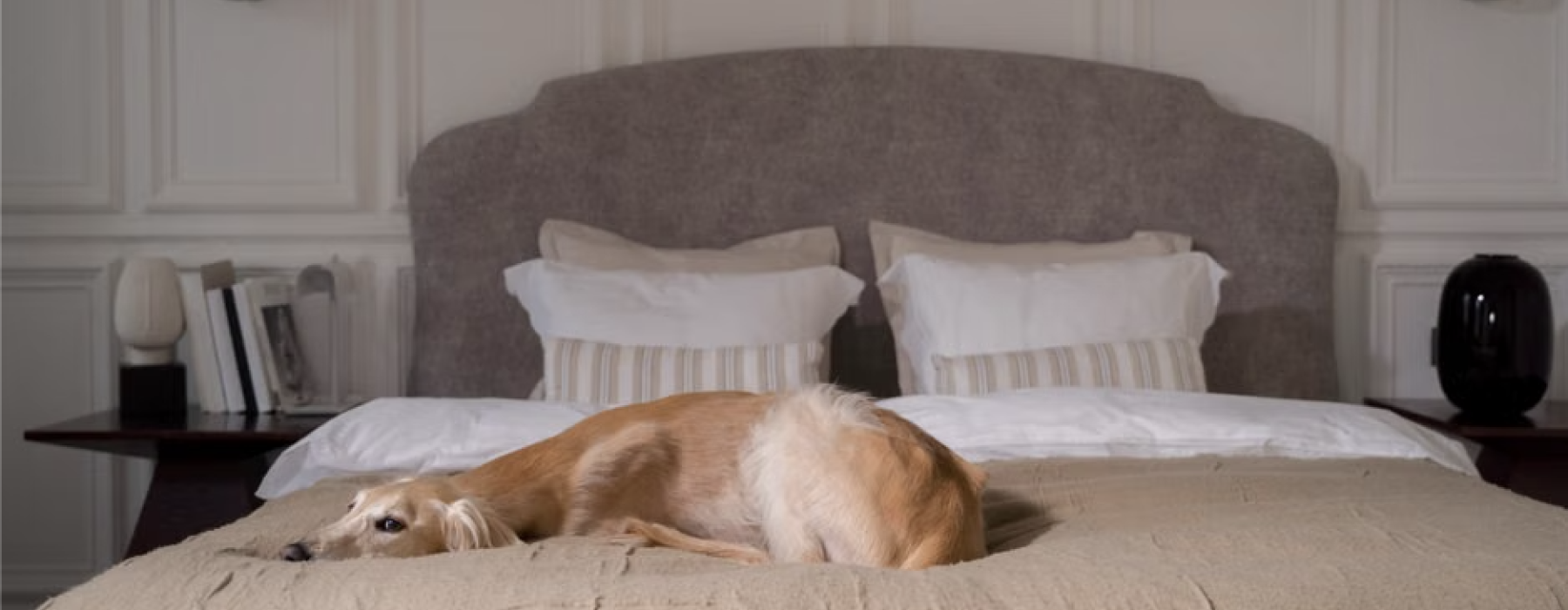 luxury pet friendly
