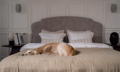 luxury pet friendly