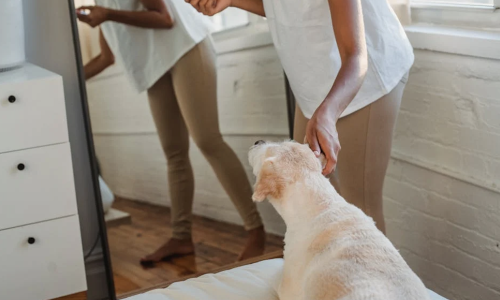 pet friendly 2 bedroom apartment - 2 bedroom apartments that allow pets
