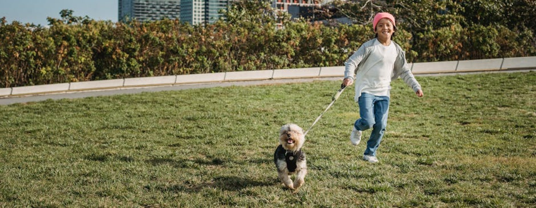 apartments with dog run - apartments with dog run