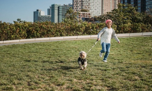 apartments with dog run - apartments with dog run