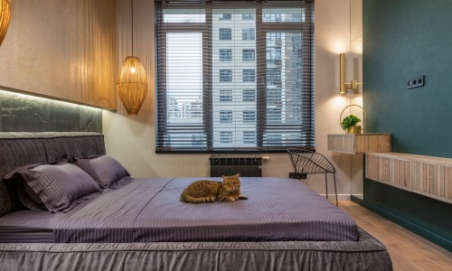 luxury pet-friendly apartment - pet-friendly luxury apartments