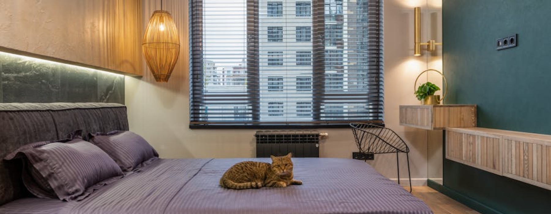 luxury pet-friendly apartment - pet-friendly luxury apartments luxury pet-friendly apartment - pet-friendly luxury apartments