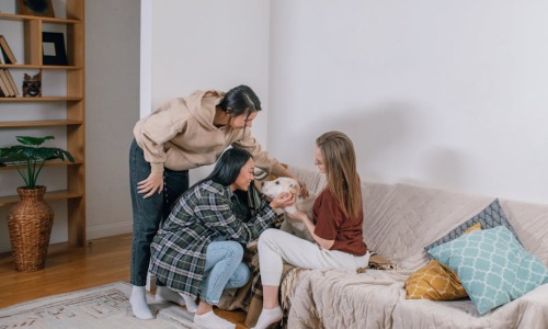 pet friendly apartments - pet friendly apartments for rent