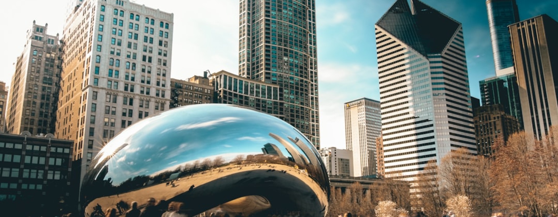 dog friendly apartments chicago skyline - dog friendly apartments chicago il