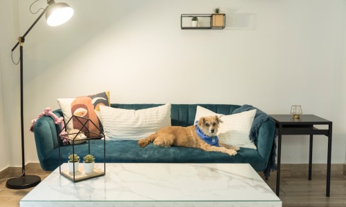 apartments no breed restrictions