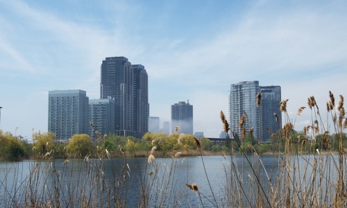 Edgewater Chicago lakefront rental homes - edgewater homes for rent