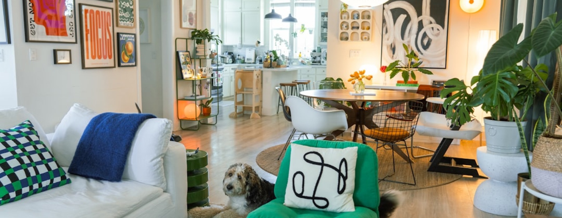 large dog in modern apartment - apartments that take large dogs