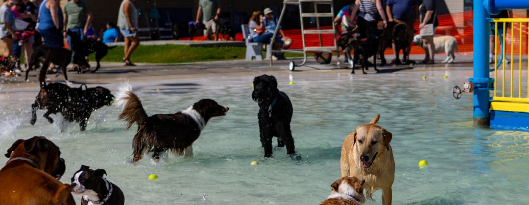 apartment complex dog park